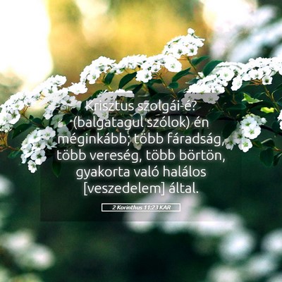 Picture 05 - 2 Korinthus 11:23 KAR - Krisztus szolgái-é? (balgatagul szólok) én - Bible Verse Picture