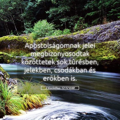Picture 05 - 2 Korinthus 12:12 KAR - Apostolságomnak jelei megbizonyosodtak - Bible Verse Picture