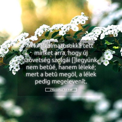 Picture 05 - 2 Korinthus 3:6 KAR - A ki alkalmatosokká tett minket arra, hogy új - Bible Verse Picture