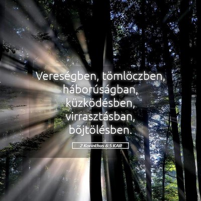 Picture 05 - 2 Korinthus 6:5 KAR - Vereségben, tömlöczben, háborúságban, - Bible Verse Picture