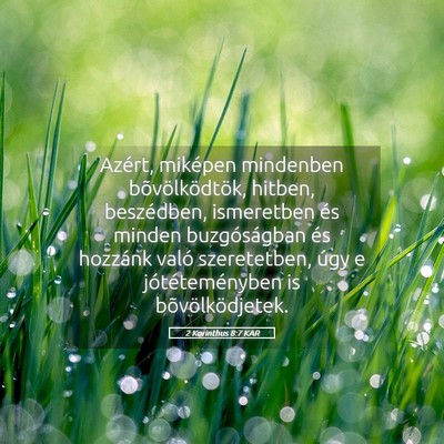 Picture 05 - 2 Korinthus 8:7 KAR - Azért, miképen mindenben bõvölködtök, - Bible Verse Picture