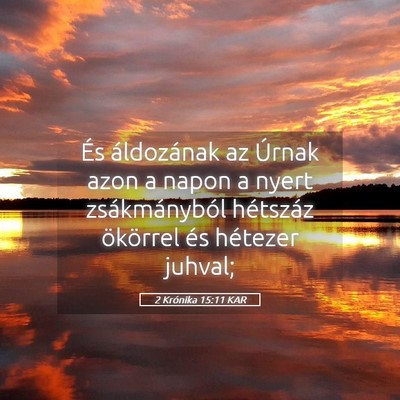 Picture 05 - 2 Krónika 15:11 KAR - És áldozának az Úrnak azon a napon a nyert - Bible Verse Picture