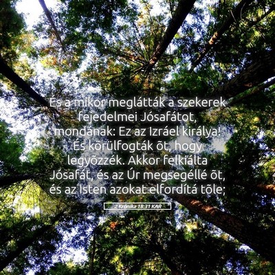 Picture 05 - 2 Krónika 18:31 KAR - És a mikor meglátták a szekerek fejedelmei - Bible Verse Picture