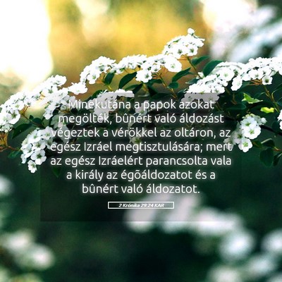 Picture 05 - 2 Krónika 29:24 KAR - Minekutána a papok azokat megölték, bûnért - Bible Verse Picture