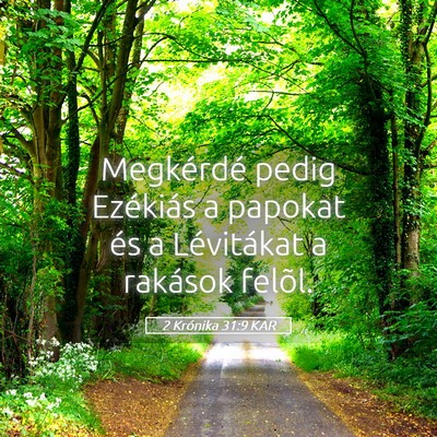 Picture 05 - 2 Krónika 31:9 KAR - Megkérdé pedig Ezékiás a papokat és a - Bible Verse Picture