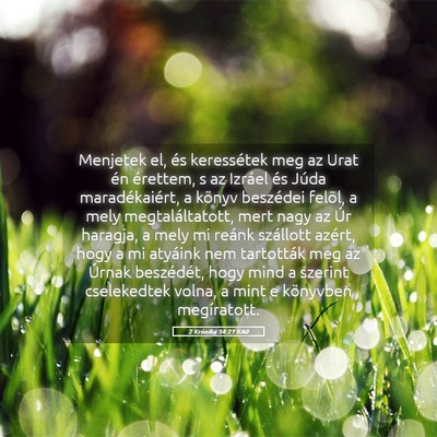 Picture 05 - 2 Krónika 34:21 KAR - Menjetek el, és keressétek meg az Urat én - Bible Verse Picture