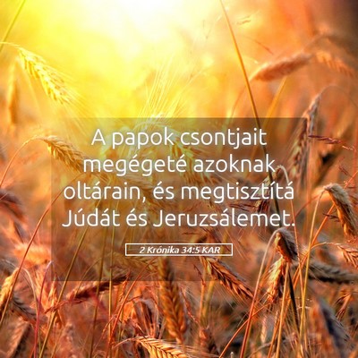 Picture 05 - 2 Krónika 34:5 KAR - A papok csontjait megégeté azoknak oltárain, - Bible Verse Picture