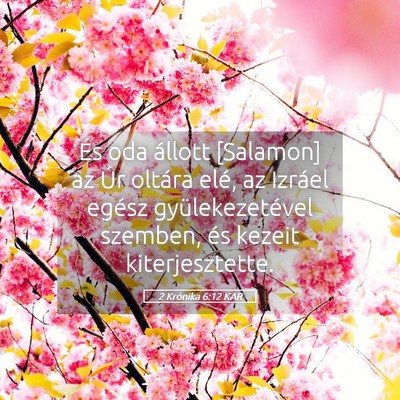 Picture 05 - 2 Krónika 6:12 KAR - És oda állott [Salamon] az Úr oltára elé, az - Bible Verse Picture