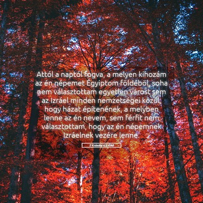 Picture 05 - 2 Krónika 6:5 KAR - Attól a naptól fogva, a melyen kihozám az én - Bible Verse Picture
