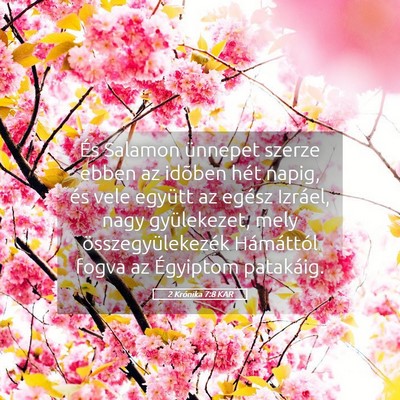 Picture 05 - 2 Krónika 7:8 KAR - És Salamon ünnepet szerze ebben az idõben hét - Bible Verse Picture