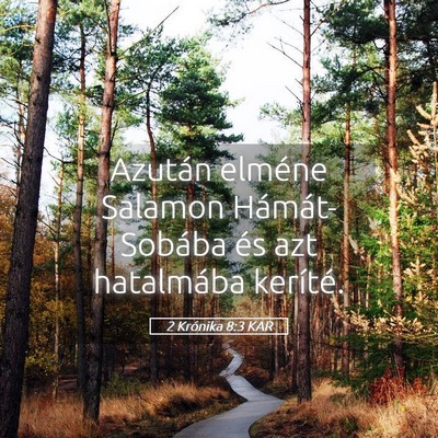 Picture 05 - 2 Krónika 8:3 KAR - Azután elméne Salamon Hámát-Sobába és azt - Bible Verse Picture