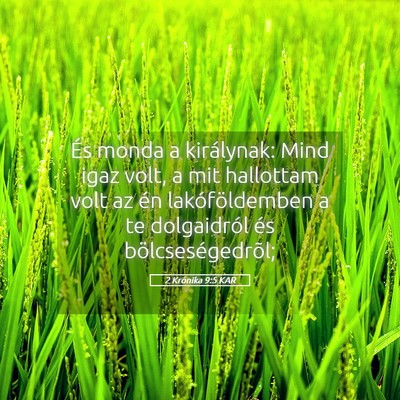 Picture 05 - 2 Krónika 9:5 KAR - És monda a királynak: Mind igaz volt, a mit - Bible Verse Picture