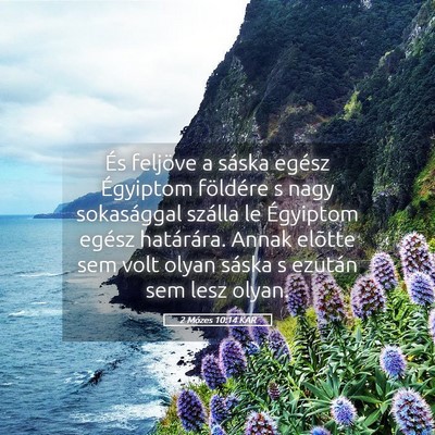 Picture 05 - 2 Mózes 10:14 KAR - És feljöve a sáska egész Égyiptom földére - Bible Verse Picture
