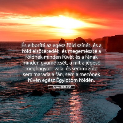 Picture 05 - 2 Mózes 10:15 KAR - És elborítá az egész föld színét, és a - Bible Verse Picture