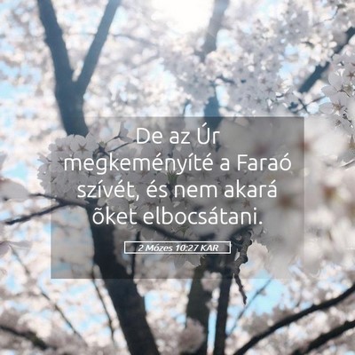 Picture 05 - 2 Mózes 10:27 KAR - De az Úr megkeményíté a Faraó szívét, és - Bible Verse Picture