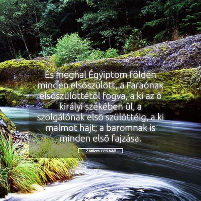 Picture 05 - 2 Mózes 11:5 KAR - És meghal Égyiptom földén minden - Bible Verse Picture