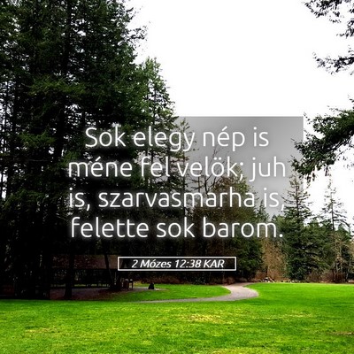 Picture 05 - 2 Mózes 12:38 KAR - Sok elegy nép is méne fel velök; juh is, - Bible Verse Picture