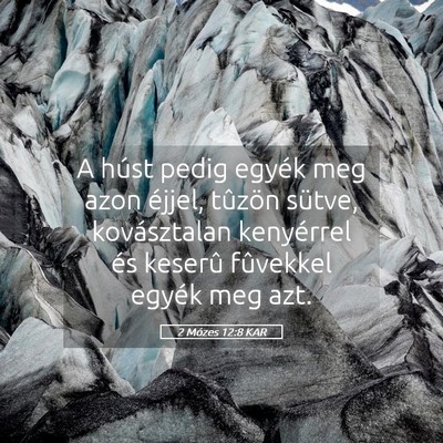 Picture 05 - 2 Mózes 12:8 KAR - A húst pedig egyék meg azon éjjel, tûzön - Bible Verse Picture