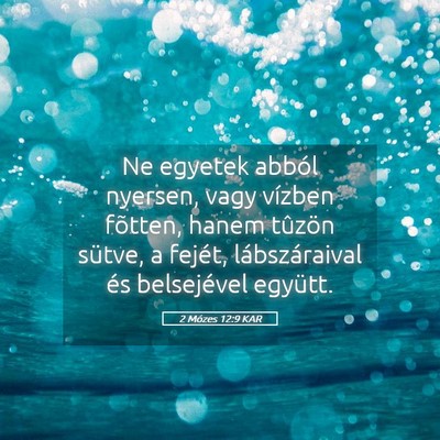 Picture 05 - 2 Mózes 12:9 KAR - Ne egyetek abból nyersen, vagy vízben fõtten, - Bible Verse Picture