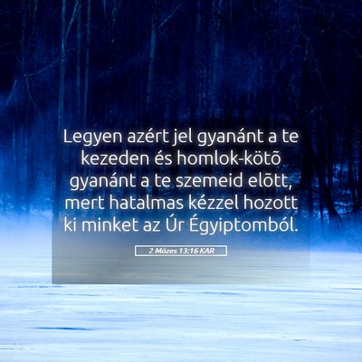 Picture 05 - 2 Mózes 13:16 KAR - Legyen azért jel gyanánt a te kezeden és - Bible Verse Picture