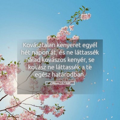 Picture 05 - 2 Mózes 13:7 KAR - Kovásztalan kenyeret egyél hét napon át, és - Bible Verse Picture