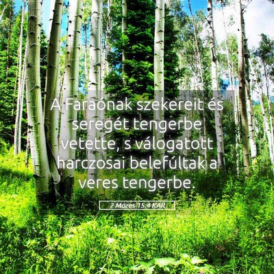 Picture 05 - 2 Mózes 15:4 KAR - A Faraónak szekereit és seregét tengerbe - Bible Verse Picture