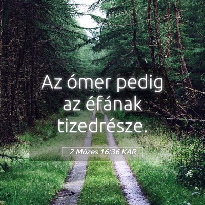 Picture 05 - 2 Mózes 16:36 KAR - Az ómer pedig az éfának - Bible Verse Picture