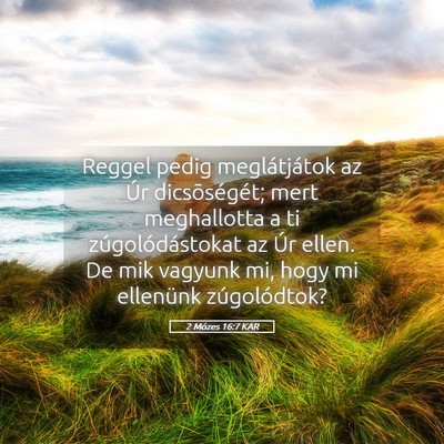 Picture 05 - 2 Mózes 16:7 KAR - Reggel pedig meglátjátok az Úr dicsõségét; - Bible Verse Picture