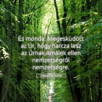 Picture 05 - 2 Mózes 17:16 KAR - És monda: Megesküdött az Úr, hogy harcza lesz - Bible Verse Picture