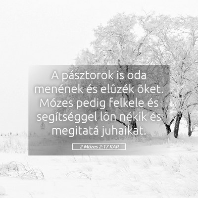 Picture 05 - 2 Mózes 2:17 KAR - A pásztorok is oda menének és elûzék õket. - Bible Verse Picture