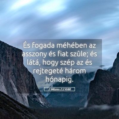 Picture 05 - 2 Mózes 2:2 KAR - És fogada méhében az asszony és fiat szûle; - Bible Verse Picture