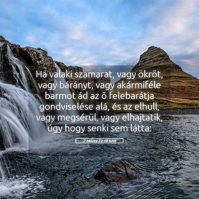 Picture 05 - 2 Mózes 22:10 KAR - Ha valaki szamarat, vagy ökröt, vagy bárányt, - Bible Verse Picture