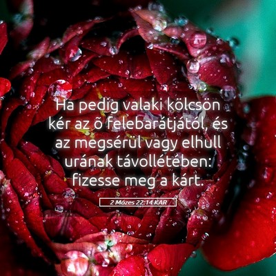 Picture 05 - 2 Mózes 22:14 KAR - Ha pedig valaki kölcsön kér az õ - Bible Verse Picture