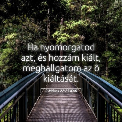 Picture 05 - 2 Mózes 22:23 KAR - Ha nyomorgatod azt, és hozzám kiált, - Bible Verse Picture