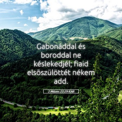Picture 05 - 2 Mózes 22:29 KAR - Gabonáddal és boroddal ne késlekedjél; fiaid - Bible Verse Picture