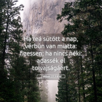 Picture 05 - 2 Mózes 22:3 KAR - Ha reá sütött a nap, vérbûn van miatta: - Bible Verse Picture