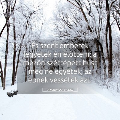 Picture 05 - 2 Mózes 22:31 KAR - És szent emberek legyetek én elõttem; a mezõn - Bible Verse Picture