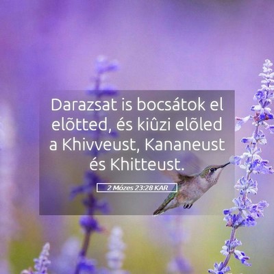Picture 05 - 2 Mózes 23:28 KAR - Darazsat is bocsátok el elõtted, és kiûzi - Bible Verse Picture