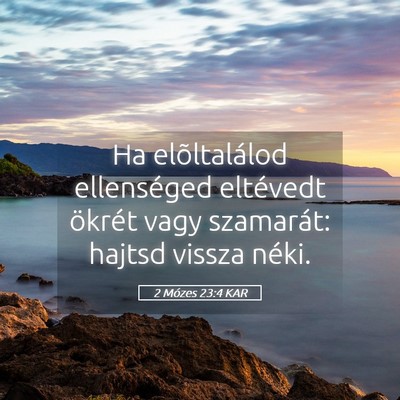 Picture 05 - 2 Mózes 23:4 KAR - Ha elõltalálod ellenséged eltévedt ökrét - Bible Verse Picture