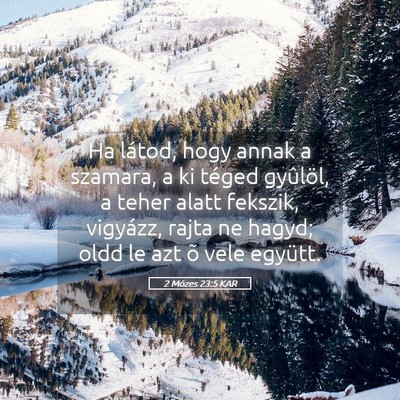 Picture 05 - 2 Mózes 23:5 KAR - Ha látod, hogy annak a szamara, a ki téged - Bible Verse Picture
