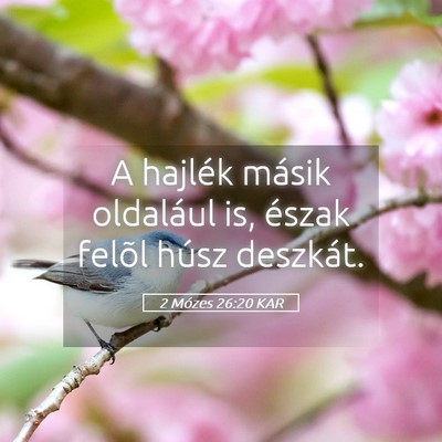 Picture 05 - 2 Mózes 26:20 KAR - A hajlék másik oldalául is, észak felõl - Bible Verse Picture