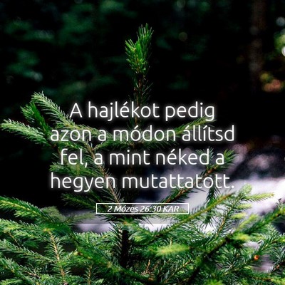 Picture 05 - 2 Mózes 26:30 KAR - A hajlékot pedig azon a módon állítsd fel, a - Bible Verse Picture
