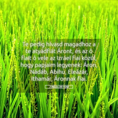 Picture 05 - 2 Mózes 28:1 KAR - Te pedig hívasd magadhoz a te atyádfiát - Bible Verse Picture