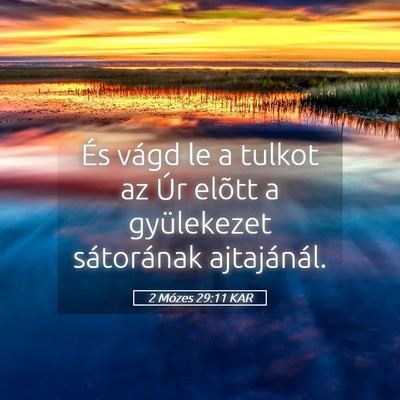 Picture 05 - 2 Mózes 29:11 KAR - És vágd le a tulkot az Úr elõtt a gyülekezet - Bible Verse Picture