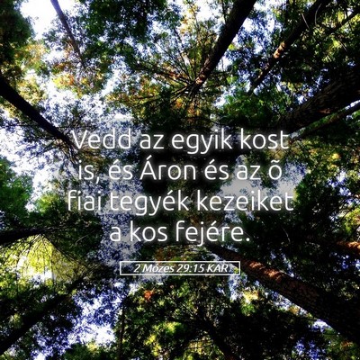 Picture 05 - 2 Mózes 29:15 KAR - Vedd az egyik kost is, és Áron és az õ fiai - Bible Verse Picture