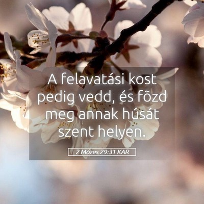Picture 05 - 2 Mózes 29:31 KAR - A felavatási kost pedig vedd, és fõzd meg - Bible Verse Picture