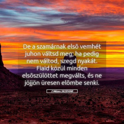 Picture 05 - 2 Mózes 34:20 KAR - De a szamárnak elsõ vemhét juhon váltsd meg; - Bible Verse Picture