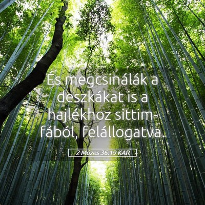 Picture 05 - 2 Mózes 36:19 KAR - És megcsinálák a deszkákat is a hajlékhoz - Bible Verse Picture