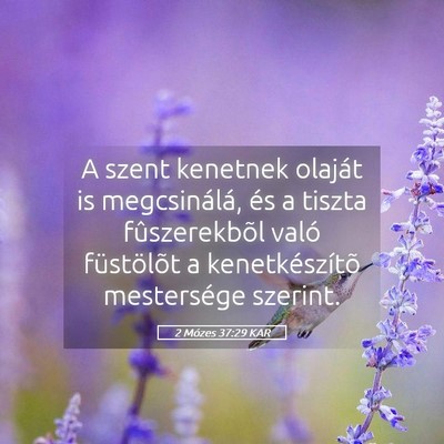 Picture 05 - 2 Mózes 37:29 KAR - A szent kenetnek olaját is megcsinálá, és a - Bible Verse Picture