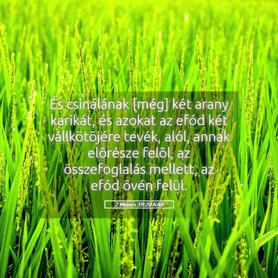 Picture 05 - 2 Mózes 39:20 KAR - És csinálának [még] két arany karikát, és - Bible Verse Picture